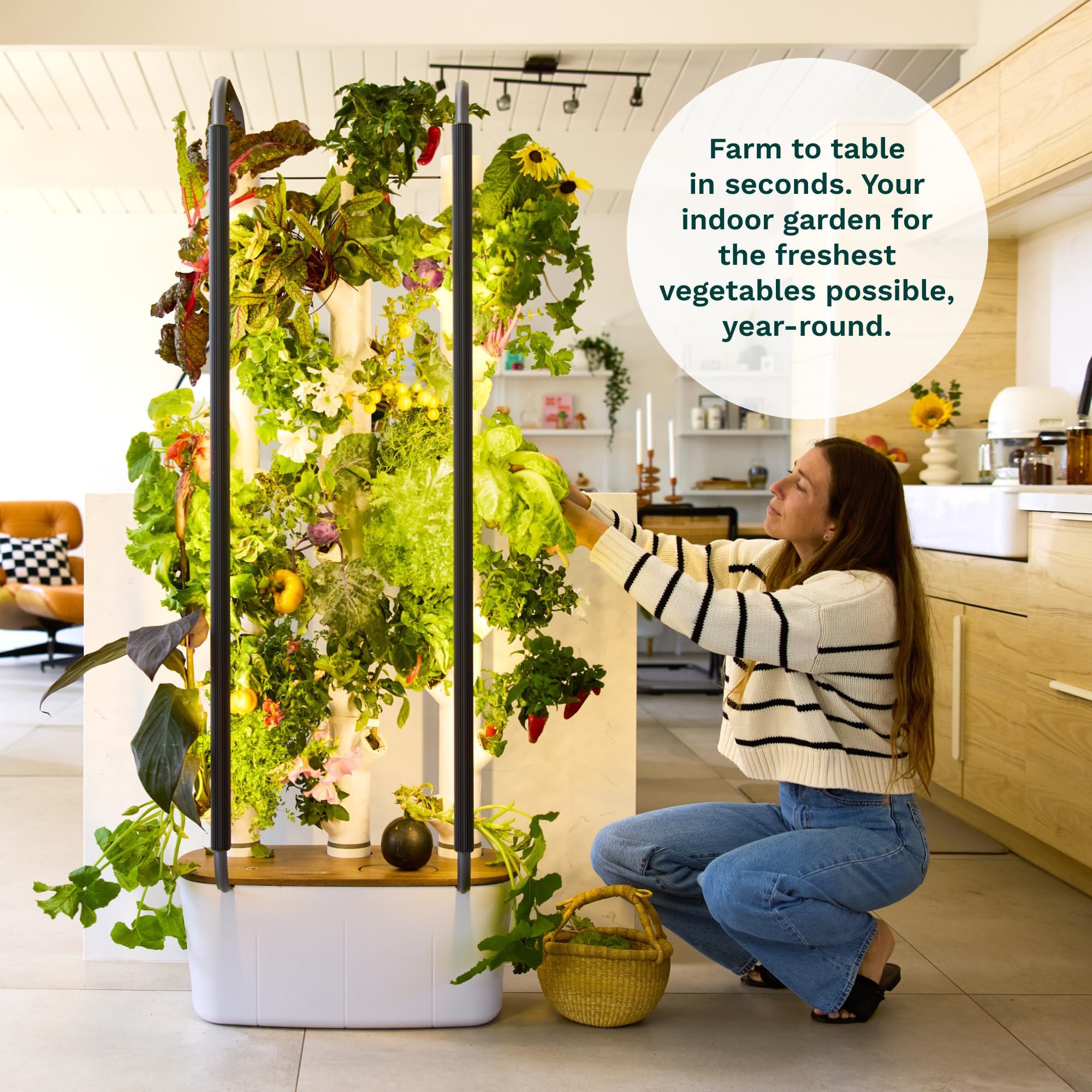 Pillowle Home 4 Vertical Hydroponics Growing System Kit with space for 30 plants, featuring multiple tiers for indoor gardening.