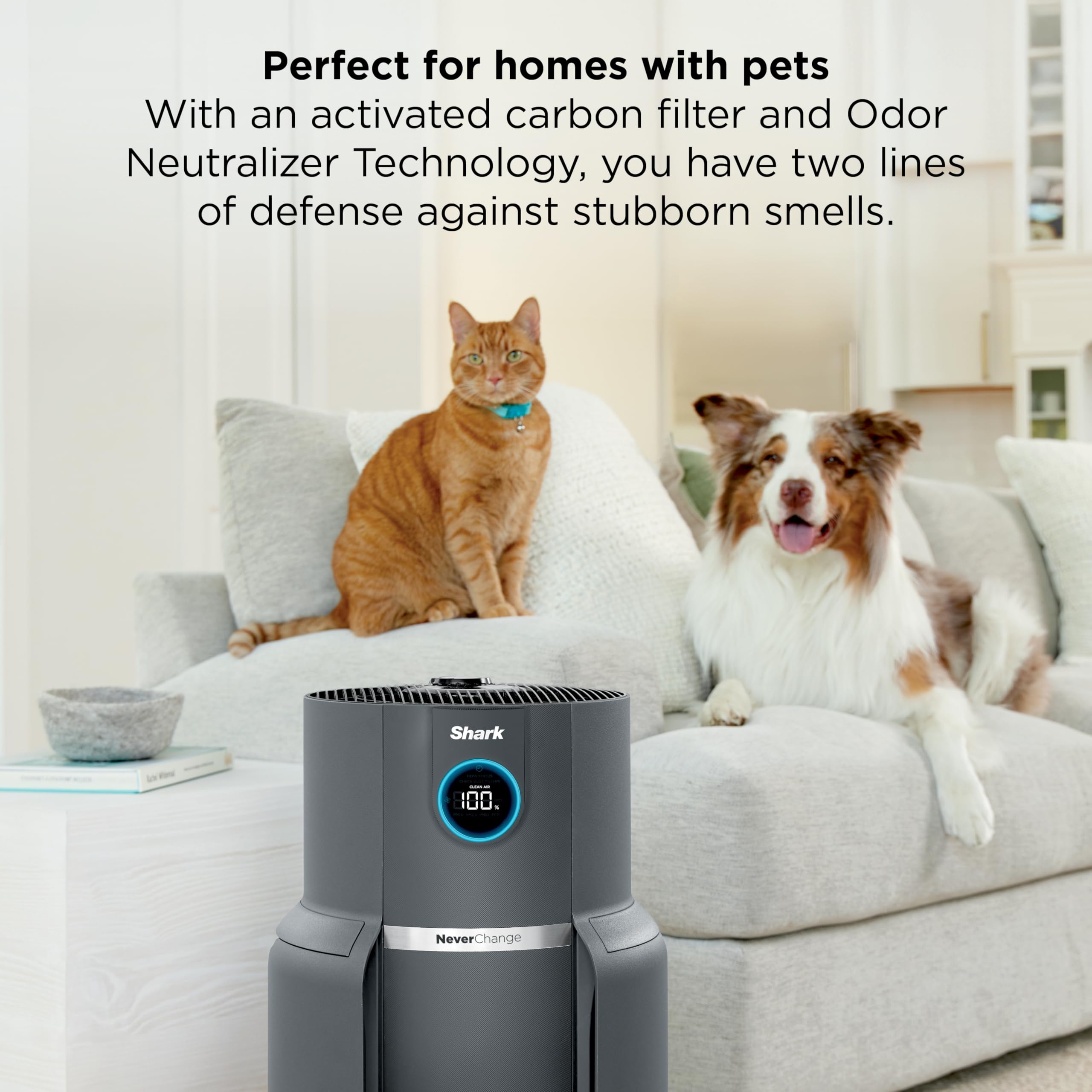 Pillowle NeverChange Air Purifier Max HP302 with Odor Neutralizer in dove color, showing sleek design and control panel.
