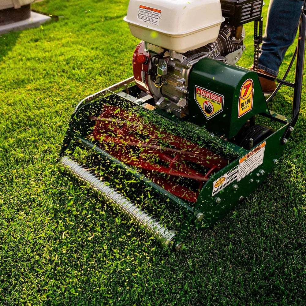 Pillowle Classic Standard 20-inch gas walk-behind lawn mower with 7 blades, designed for efficient yard mowing.
