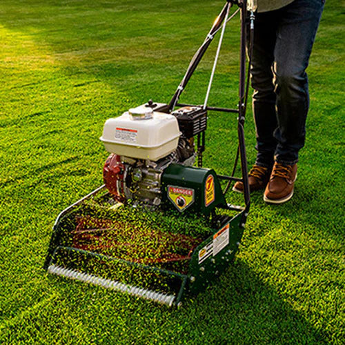 Pillowle Classic Standard 20-inch gas walk-behind lawn mower with 7 blades on a grassy yard.