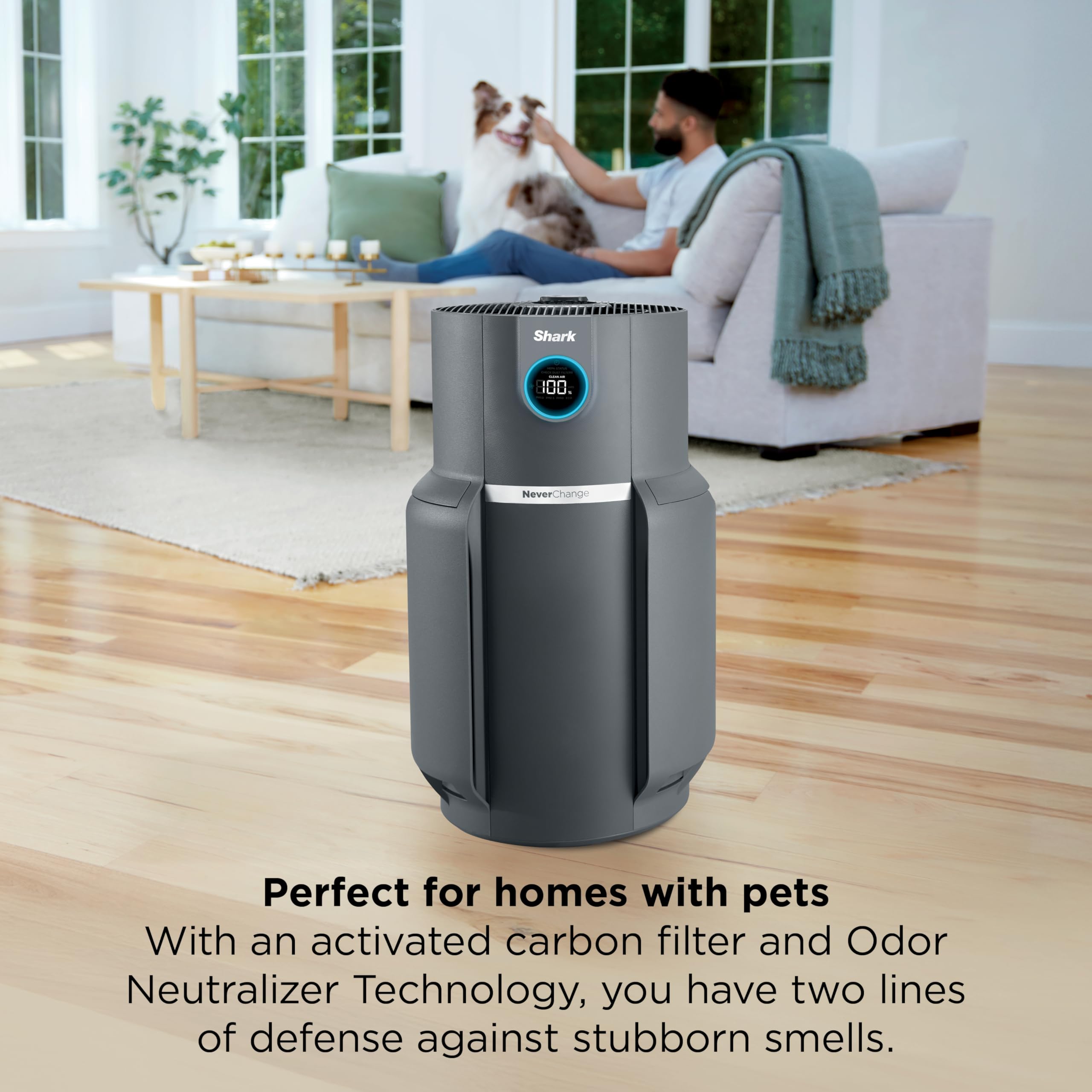 Pillowle NeverChange Air Purifier Max with Odor Neutralizer HP302 in dove color, showing sleek design and control panel.